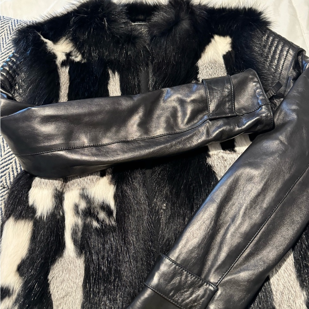 Roberto CAVALLI  JACKET